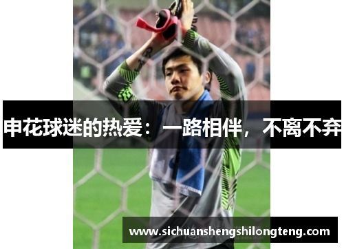 申花球迷的热爱：一路相伴，不离不弃